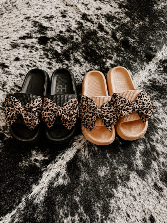 Dolled up Slides